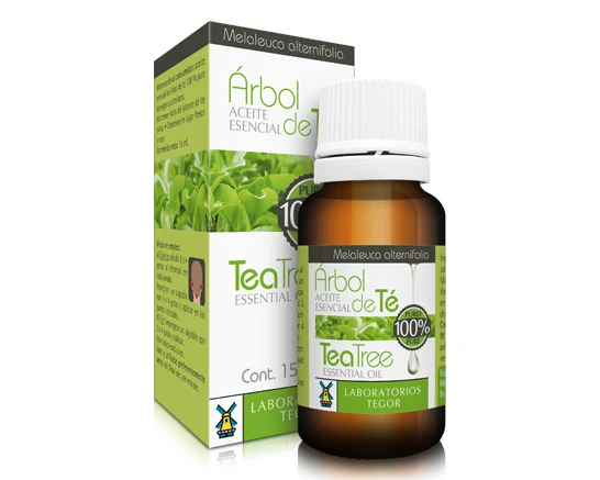 Arbol de Te Árbol de Té