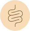 dIGESTION-E-INTESTINO Digestión e intestino